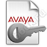 AVAYA 202969