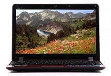 ASUS Eee PC 1201PN Red (90OA2GB42211987E30AQ)